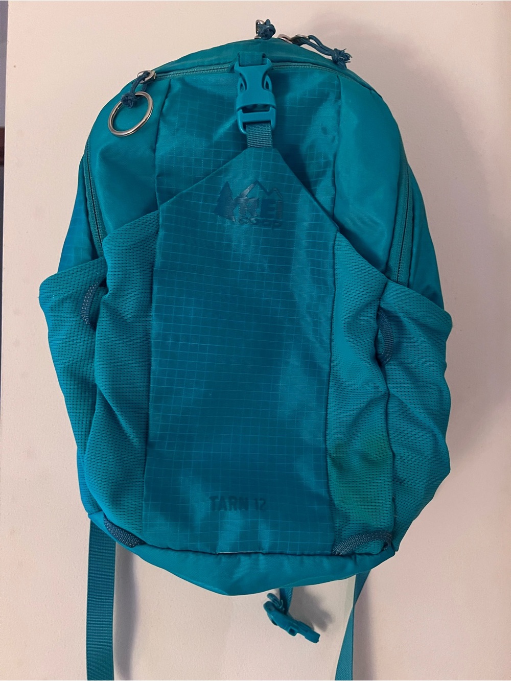 REI Teal/Turquoise Kids Daypack
